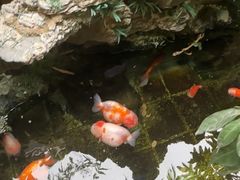 -佛有缘素食馆·荔湾老字号(陈家祠首店)