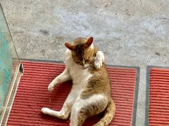 -崖口煲仔饭