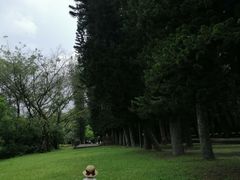-金山植物公园