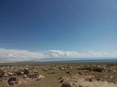 -青海湖国家重点风景名胜区