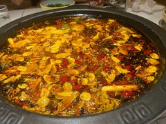 -费明中罗非鱼(大石坝店)