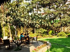 -马勒别墅·中餐厅