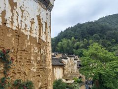 -杨家堂村