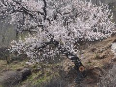 -北京上方山国家森林公园