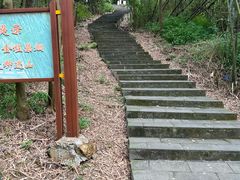 -羚羊峡古栈道森林公园