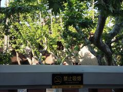 -星巴克臻选(思南公馆店)