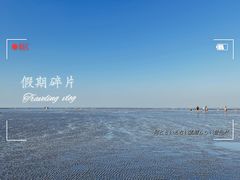 -南汇新城海滩