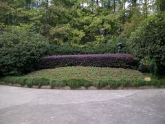 -徐家汇源景区-衡山公园