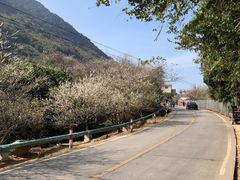 -广州市流溪河国家森林公园