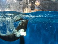 -顺德南宏海立方海洋公园
