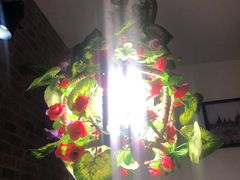 -忘忧草融合私房菜(红鼎国际店)