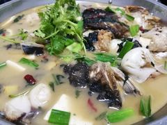 -史记安仁鱼头(浙闽赣食用菌交易中心店)