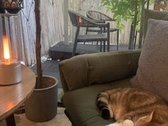 -咖法森林·咖啡  酒吧(天河店)