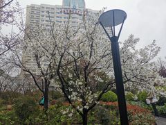 -兰溪青年公园