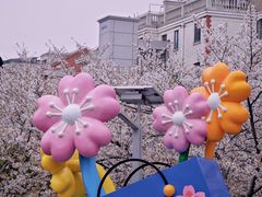 -高东镇樱花园