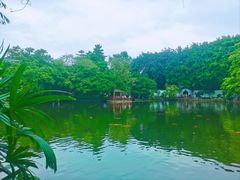 -东莞市可园博物馆