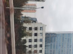 -远洋未来汇