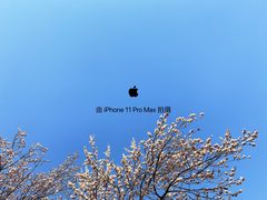 -Apple零售店(中街大悦城店)