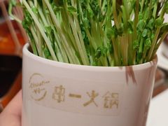 -串一火锅(赛格国际购物中心店)