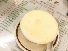 -义顺牛奶公司(新马路老店)