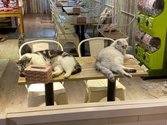 -小时光咖啡馆(开森度假森林店)