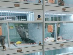 -FAELING PETS美天灵宠物(合生汇店)