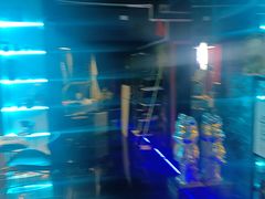 -暗楼·剧本杀·桌游