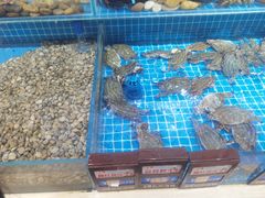 -四季厨房 鲁菜·孔府烤鸭(二环南路店)