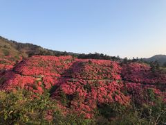 -木兰云雾山