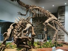 -自贡恐龙博物馆