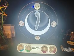 -玛莲朵·海菲秀冰珀科