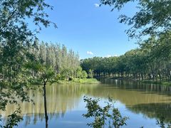 -东郊湿地公园