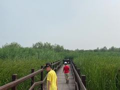 -西青郊野公园