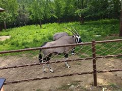-大连森林动物园