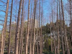 -黄兴公园