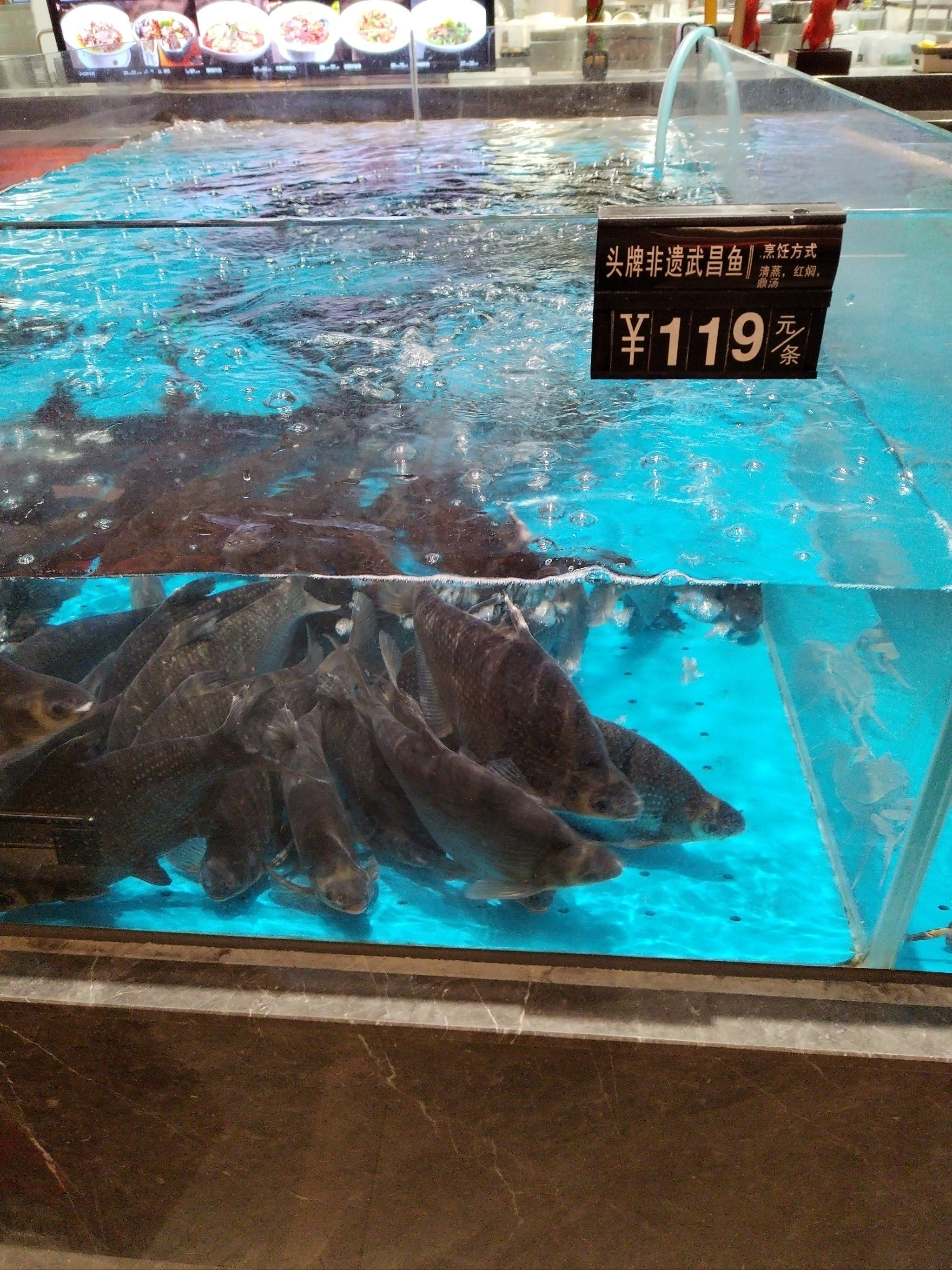 非遗楚菜#武汉打卡好去处#非遗武昌鱼武昌鱼肉质鲜美,营养丰富