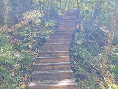 -白草畔自然风景区