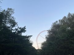 -哈尔滨文化公园