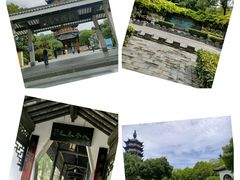 -红梅公园