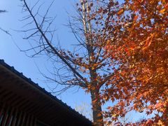 -木塔寺遗址生态公园