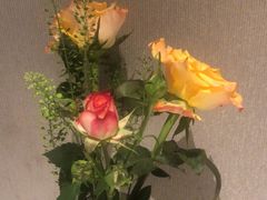 -顺峰(农展馆店)
