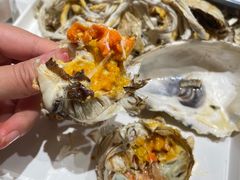 -杨氏青龙虾·羊蝎子(托乐嘉店)