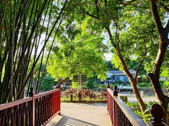 -林丰温泉度假山庄