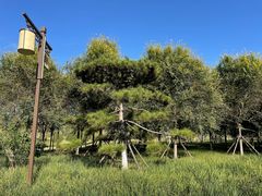 -张家湾公园