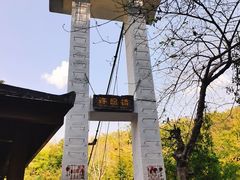-西双版纳原始森林公园