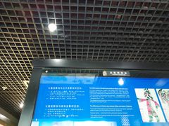 -七宝皮影艺术馆