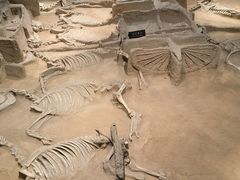 -洛阳周王城天子驾六博物馆