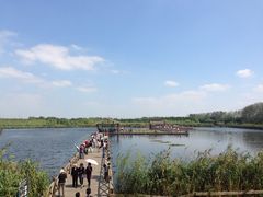 iphone_upload_pic-溱湖国家湿地公园