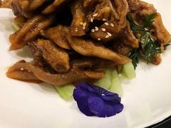 -沪碟·精菜坊(闵行店)