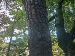 -黑龙潭公园